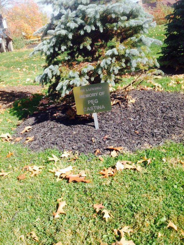 Sign stating "In Loving Memory of Peg Castina" in front of evergreen tree