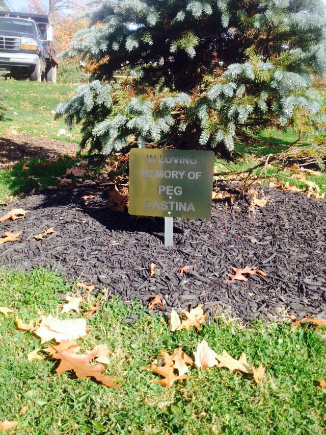 Sign in front of pine tree saying "In Loving Memory of Peg Castina"