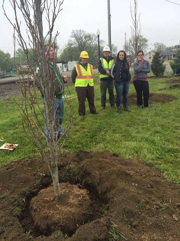 People Standing Next to Freshly Planted Tree